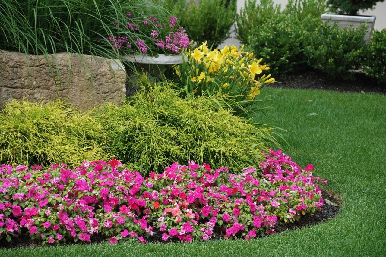 JNR Landscape Enhancement Team has improved the presentation of many properties in the Tampa areas.