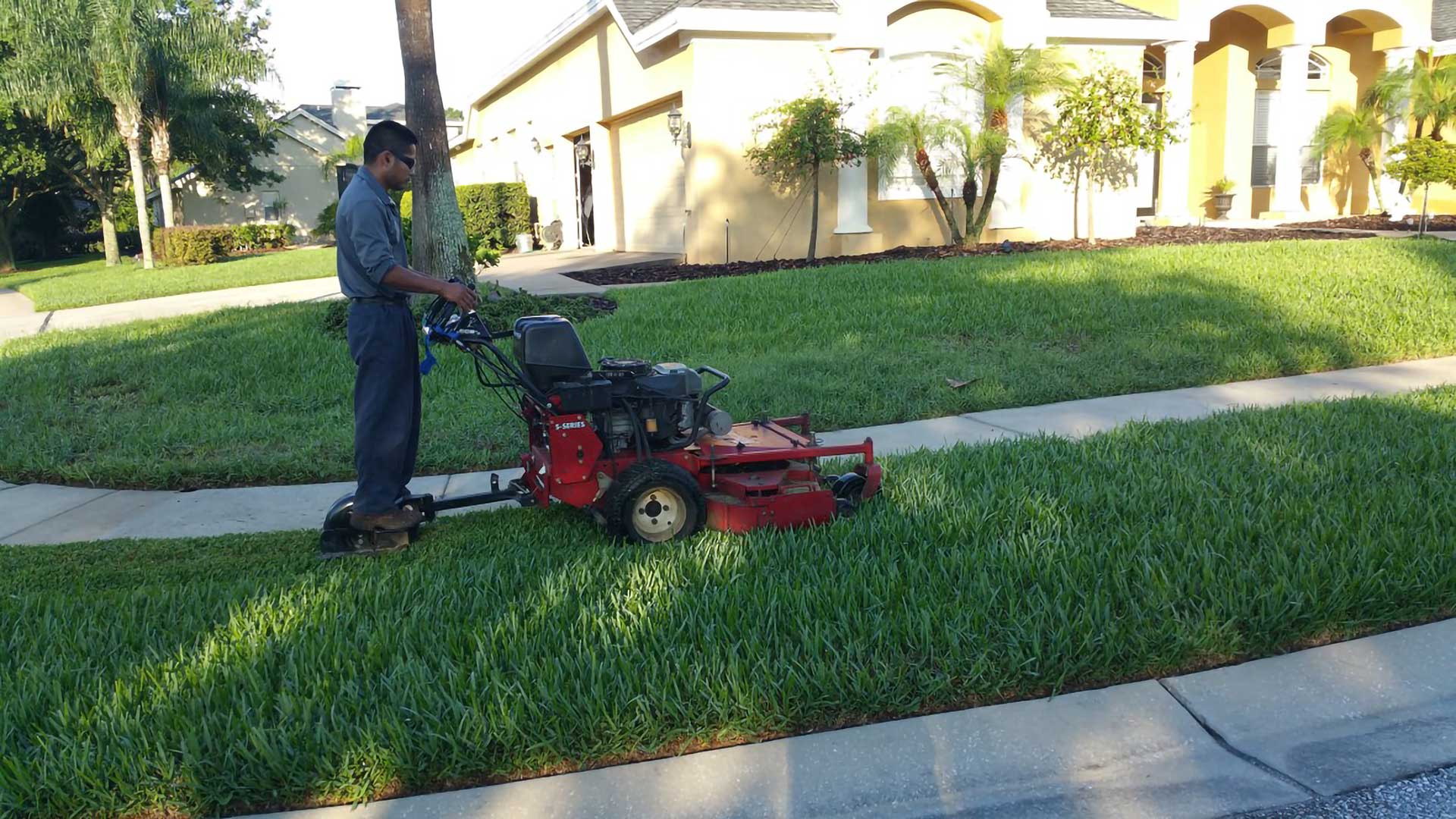 Landscaping & Lawn Care Services for Commercial, HOA and POA properties